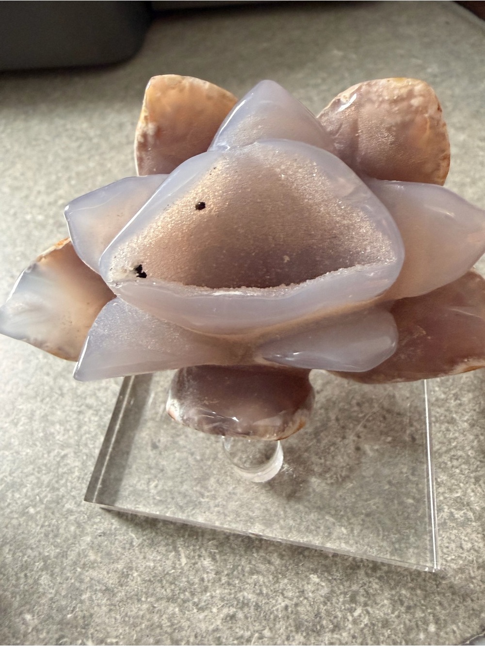 Polished Agate Lotus carving in Light lilac and Cream